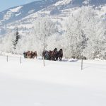 Schnee am Wochenende